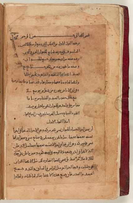 بداية تاريخ عالم الحيوان لأرسطو والذي يُعتَقد بأنه تُرجِم إلى العربية بواسطة ابن البطريق. Add. MS 7511، ص. ١ظ