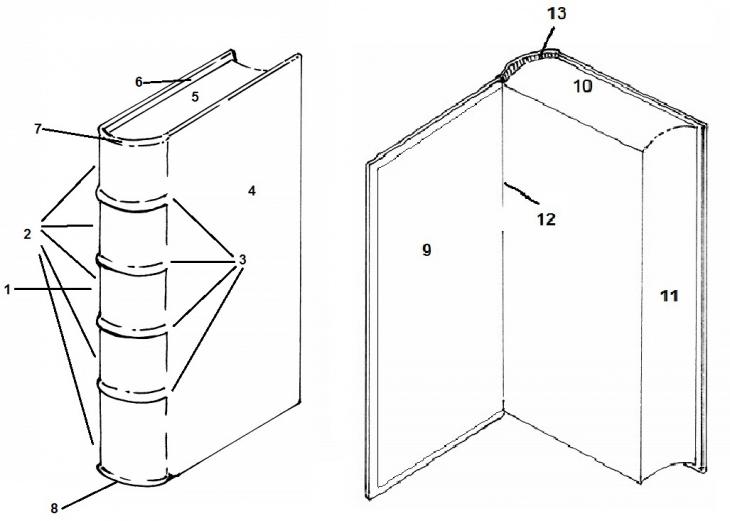 Diagrams indicating different structural features of a bound volume, internally (right) and externally (left).