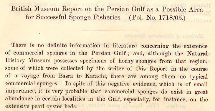 Opening of Kirkpatrick’s report, speculating on the probable existence of a ‘great abundance’ of sponges in the Gulf, November 1905. IOR/L/PS/18/B152, f. 1r