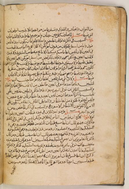 Ḥunayn’s discussion of the reason why the eye has two lids in his Questions on the Eye. Or. 6888, f. 5v