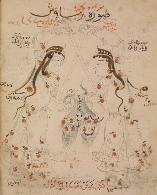 The constellation of Perseus as it appears in the sky (left, erroneously labelled ‘on the celestial globe’) and on a celestial globe (right). The bleeding head of Medusa has been replaced by a bearded male desert demon (ghūl). Or. 5323, f. 21v