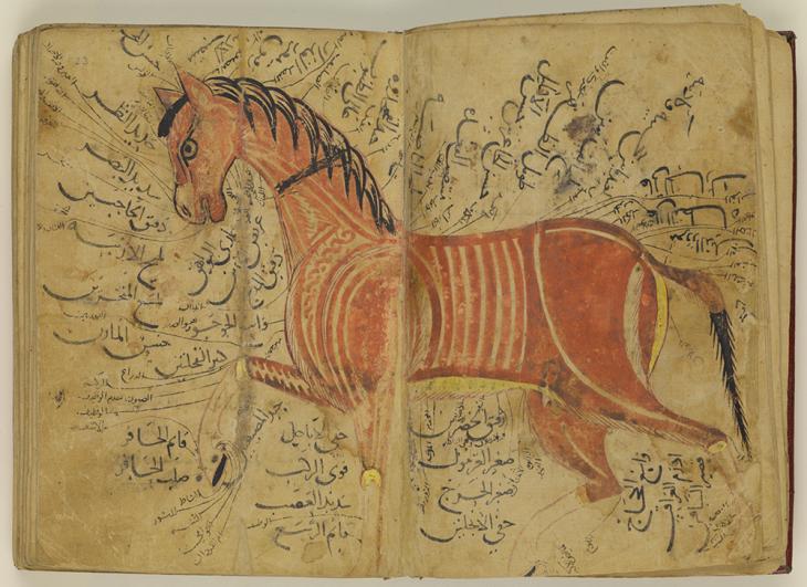 Illustration showing the horse’s good points, from a copy of Kitāb al-bayṭarah by al-Azdī, dated 620/1223. Or 1523, ff. 22v-23r