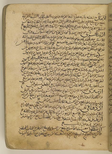 فقرة عن الأرنب في كتاب &quot;منهاج البيان فيما يستعمله الإنسان&quot; لابن جزلة. Or 7499، ص. ١٦و