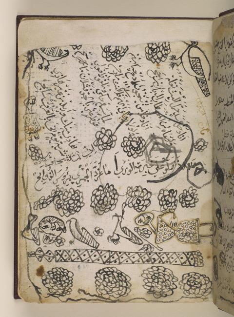 رسم هامشي لصقر في عمل مجهول المؤلف بعنوان &quot;كتاب البيزرة&quot;. Or 8187، ص. ٢و