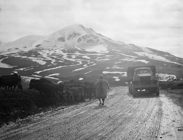 A United States Army truck convoy carrying supplies through the Persian Corridor to the Soviet Union, May 1943. Source: Library of Congress Prints and Photographs Division. Public Domain