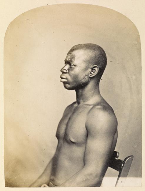 Poses, too, could attempt to show racial morphology as in this photograph of a black slave at Aden, positioned so that his body type and profile are identifiable. Photographer: Unknown, 1860s. Photo 1000/42/4411a