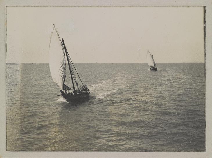 Photograph taken off Kuwait, showing cargo boats rigged with fore-and-aft sails, February 1918. Photo 496/6/34