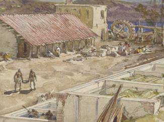 تجارة النيلة بالخليج في القرن التاسع عشر